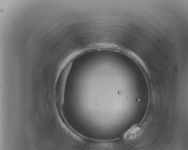 X0000062891381200601171502