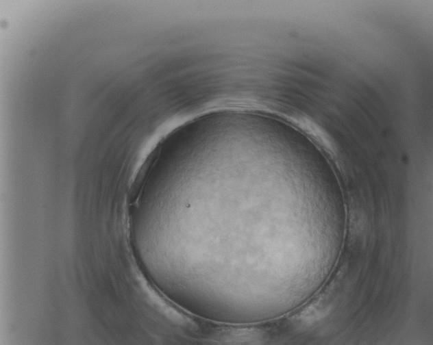 X0000062891382200601171502