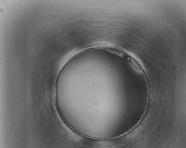 X0000062891383200601171502