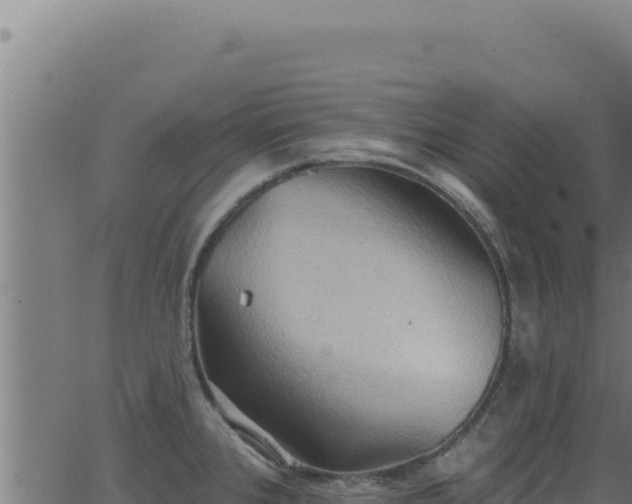 X0000062891384200601171502