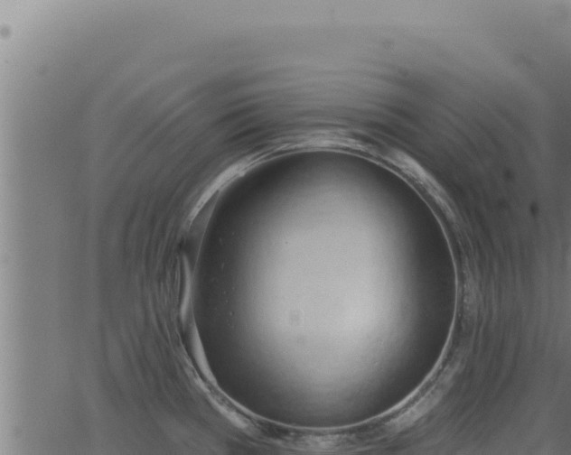 X0000062891385200601171502