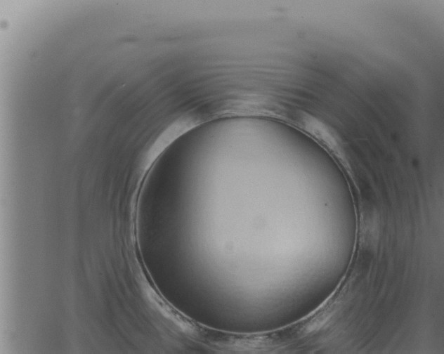 X0000062891386200601171502