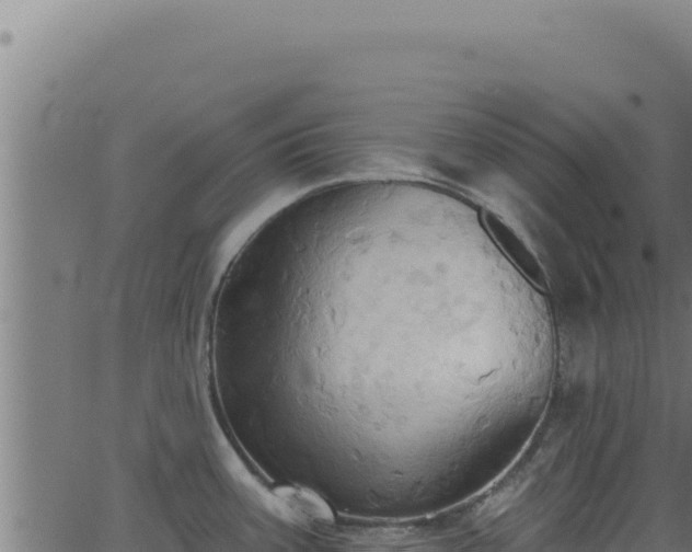 X0000062891387200601171502