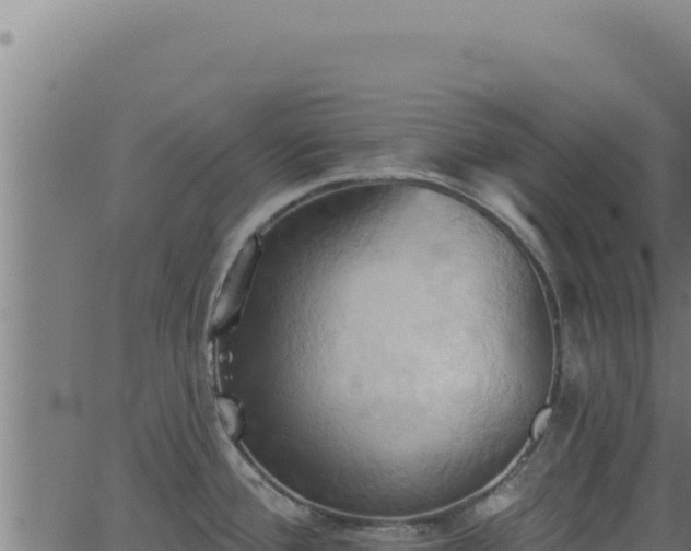 X0000062891388200601171502