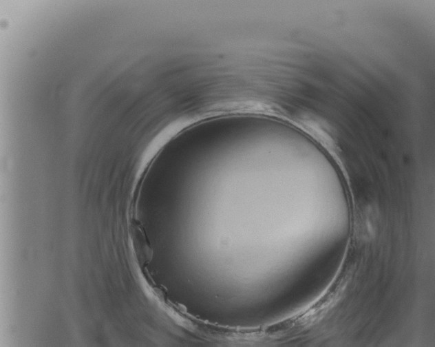 X0000062891389200601171502