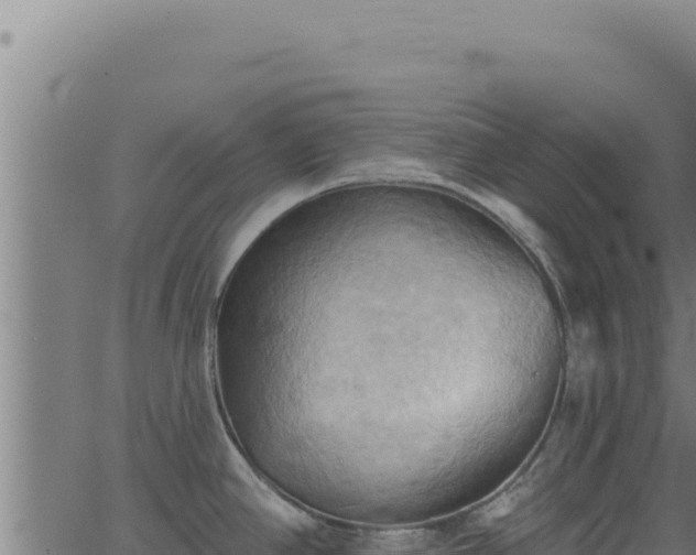 X0000062891390200601171502