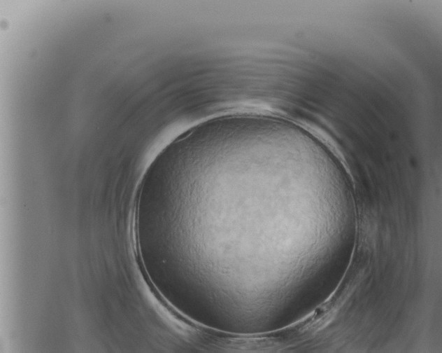 X0000062891391200601171502