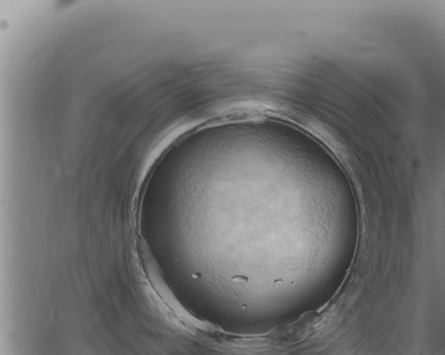 X0000062891392200601171502