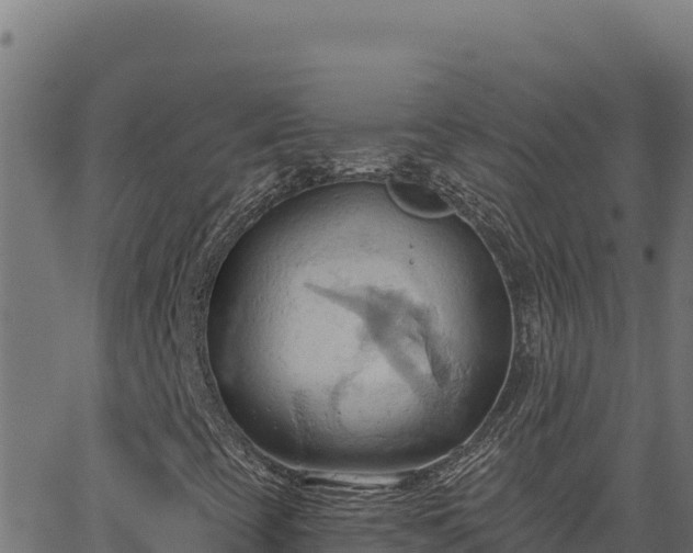 X0000062891393200601171501