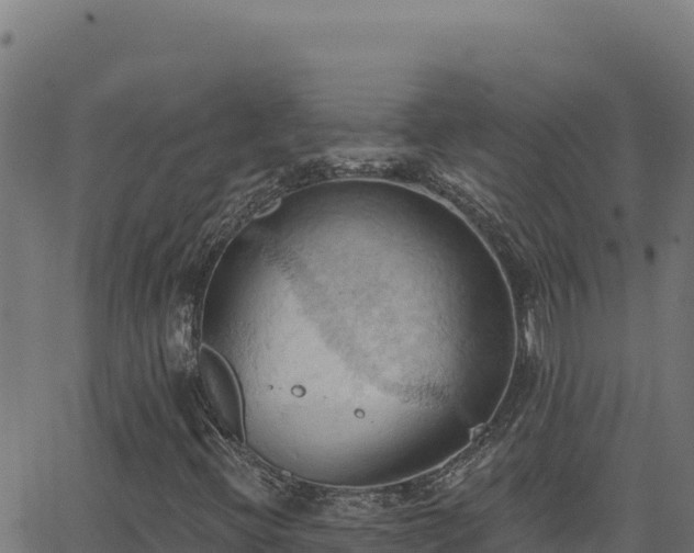 X0000062891396200601171501