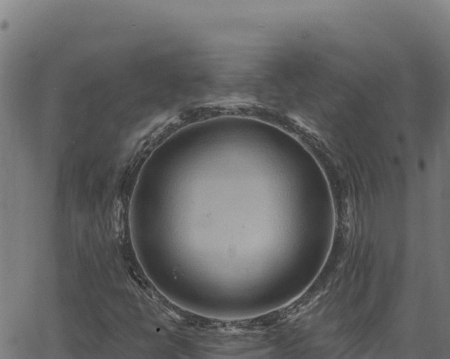 X0000062891398200601171501