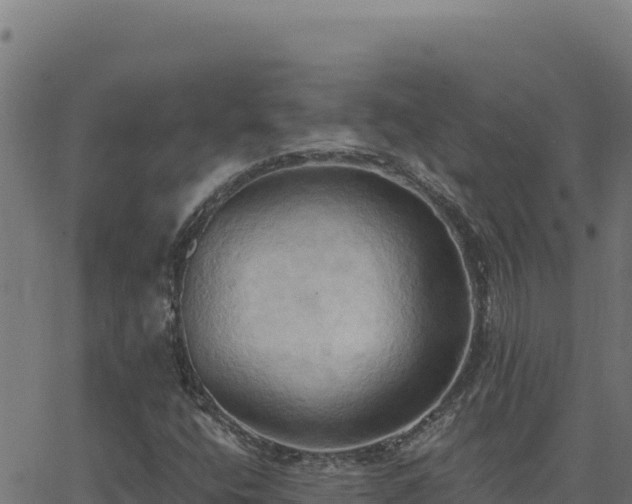 X0000062891400200601171501