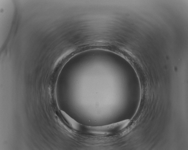 X0000062891402200601171501