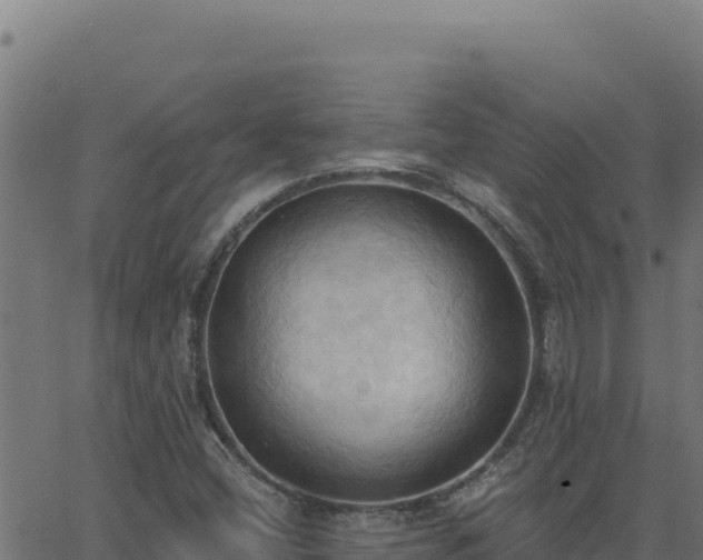 X0000062891404200601171501