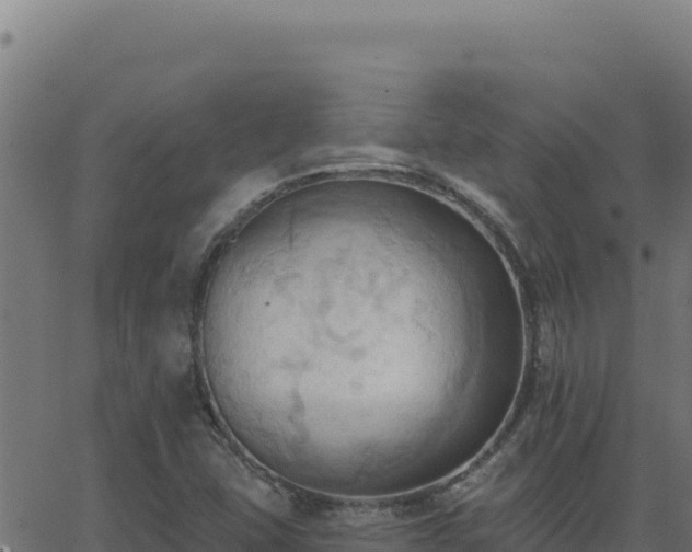 X0000062891407200601171501