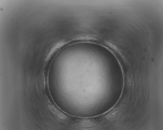 X0000062891408200601171501