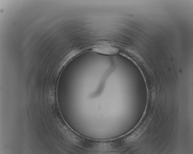 X0000062891409200601171501