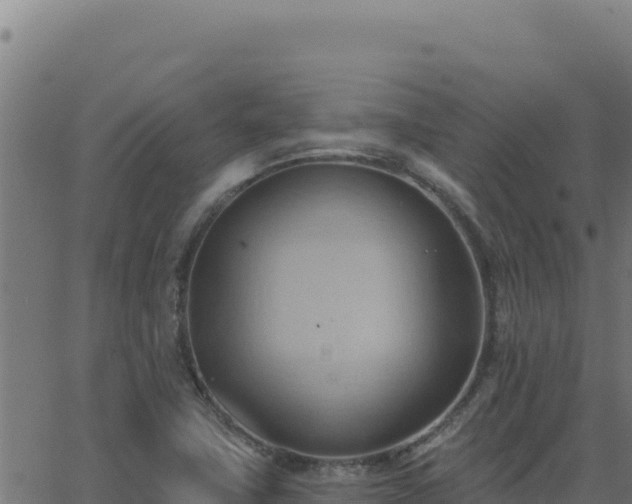 X0000062891411200601171501