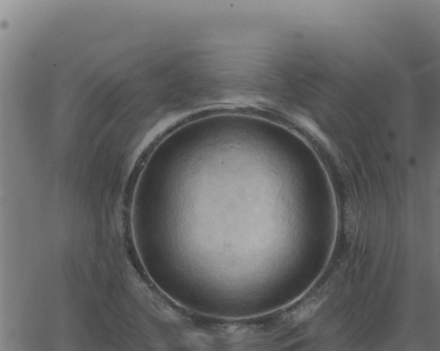 X0000062891412200601171501