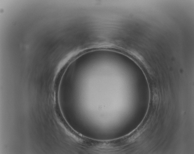 X0000062891414200601171502