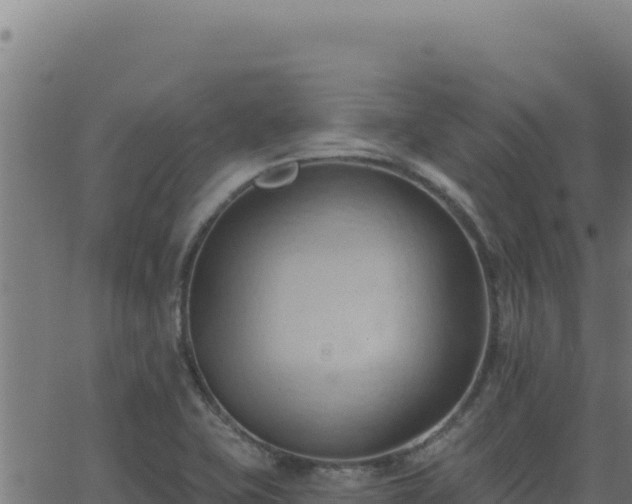 X0000062891415200601171502