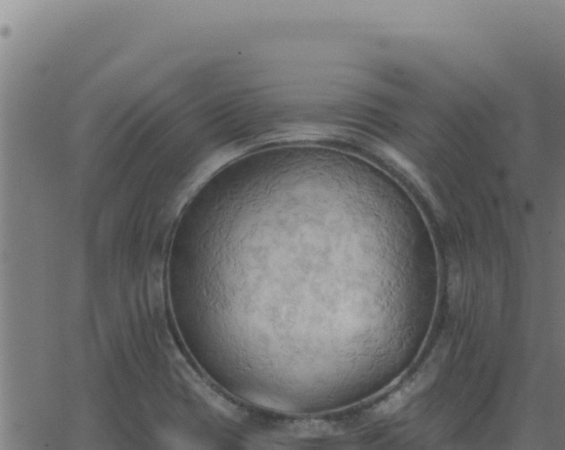 X0000062891417200601171502