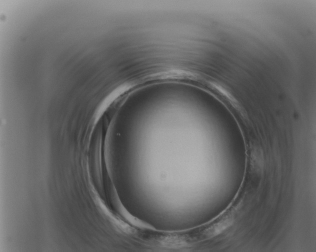 X0000062891418200601171502