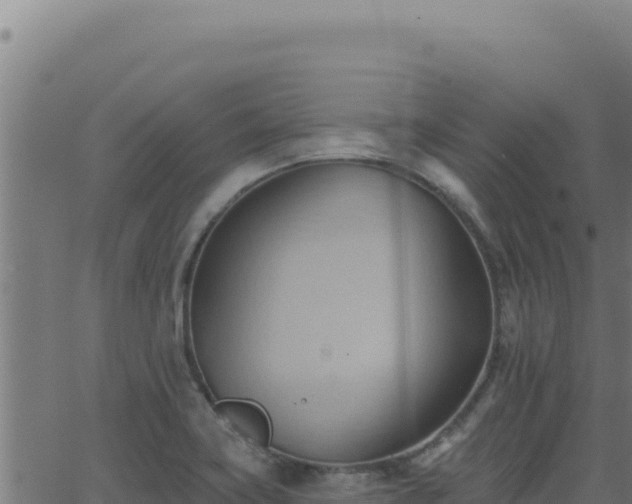 X0000062891419200601171502