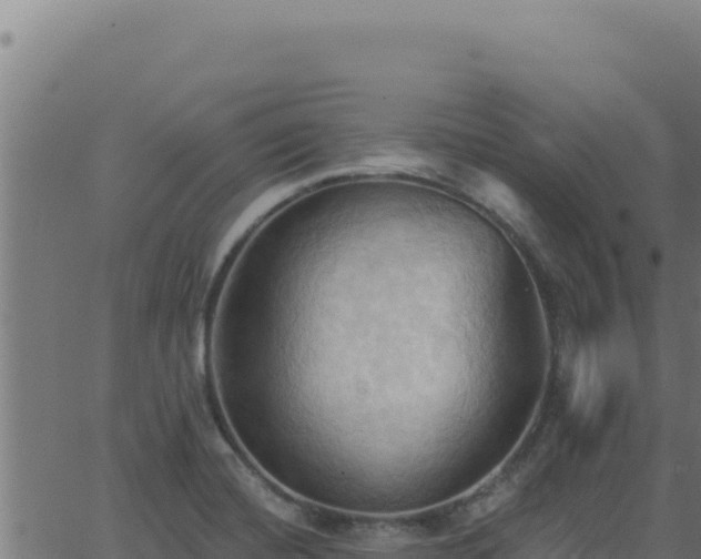 X0000062891420200601171502