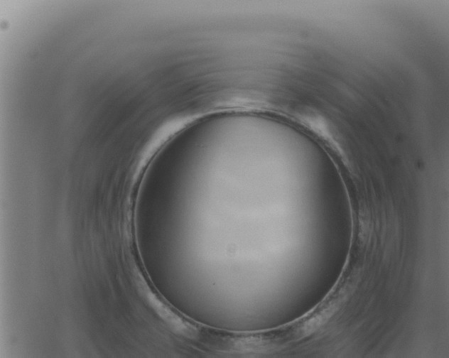 X0000062891421200601171502