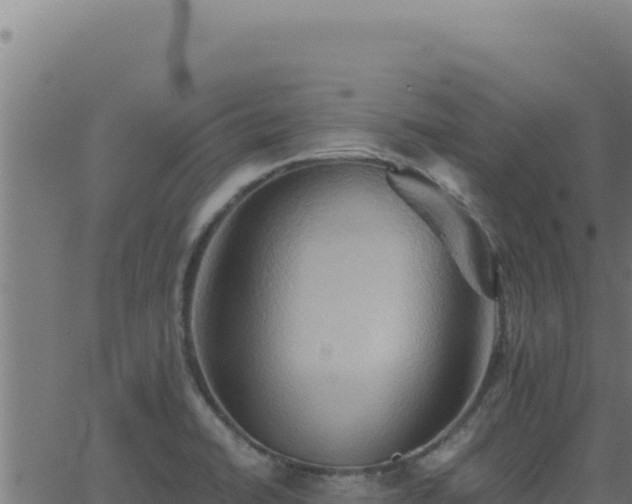 X0000062891422200601171502