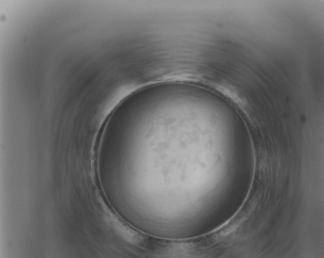 X0000062891423200601171502