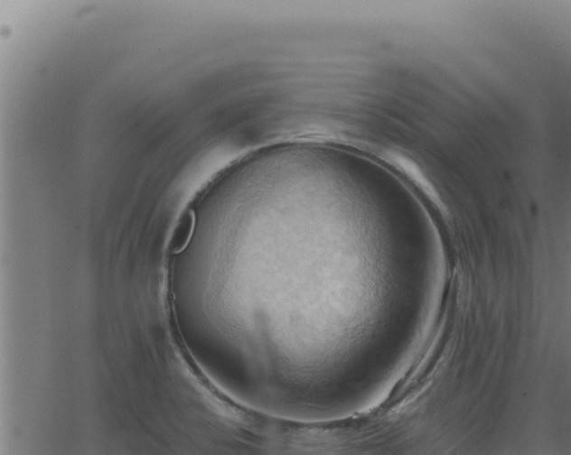 X0000062891424200601171502