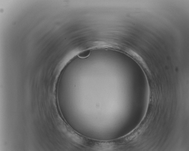 X0000062891427200601171502