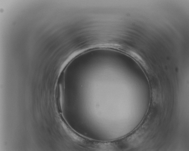 X0000062891428200601171502