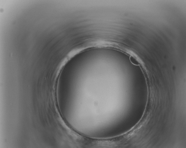 X0000062891429200601171502