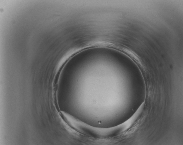 X0000062891430200601171502