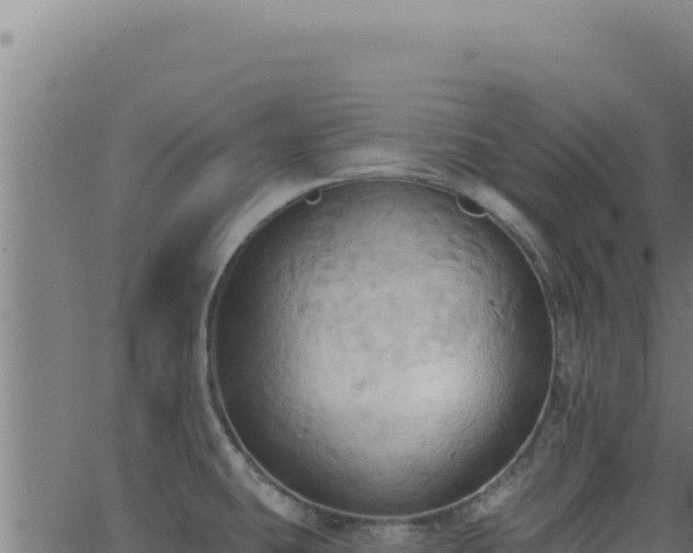 X0000062891431200601171502