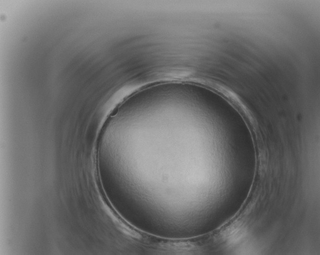 X0000062891432200601171502