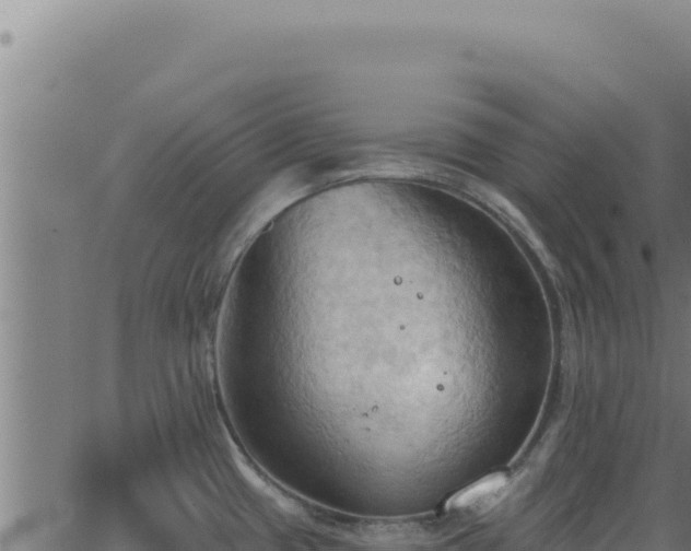 X0000062891433200601171502