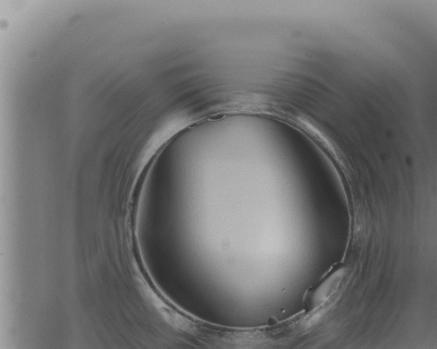 X0000062891434200601171502