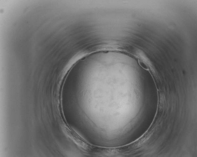 X0000062891435200601171502