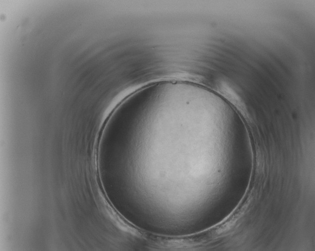 X0000062891436200601171502