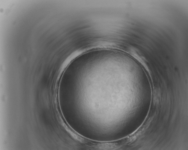 X0000062891437200601171502