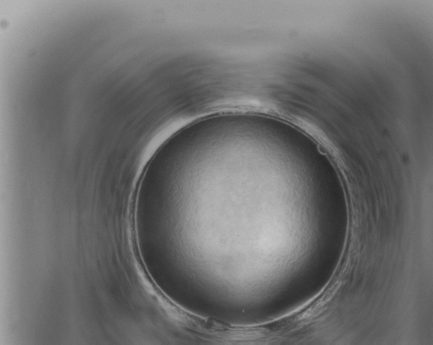 X0000062891440200601171502