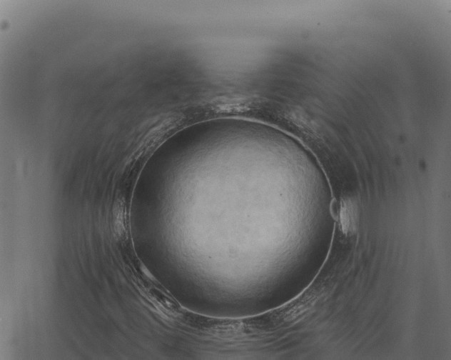 X0000062891444200601171501