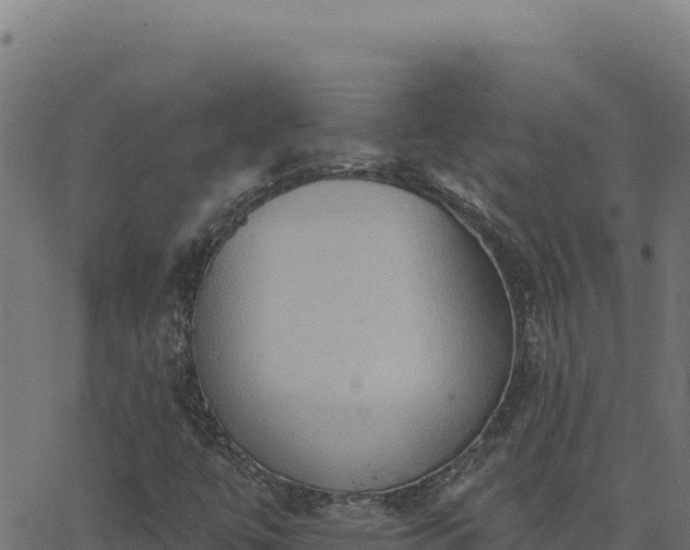 X0000062891447200601171501