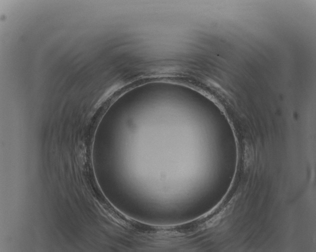 X0000062891449200601171501