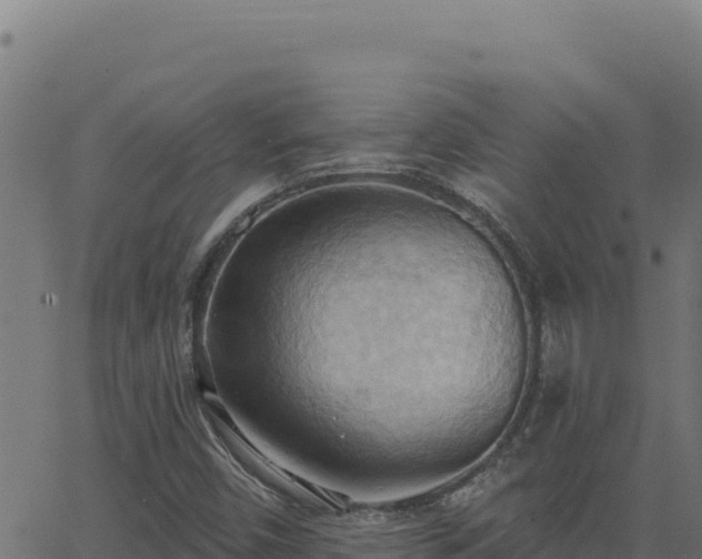 X0000062891450200601171501