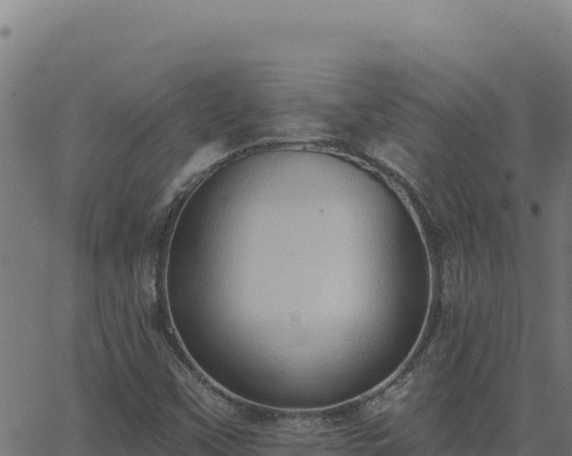 X0000062891451200601171501